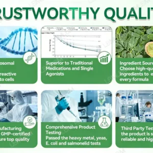 𝐎𝐟𝐟𝐢𝐜𝐢𝐚𝐥 𝐒𝐭𝐨𝐫𝐞 🇺🇸 |NEGUSY™ Moringa .Berberine x NAD+ 10-in-1 Advanced Nano Microneedle Patch - Once Daily, Visible Results in 7Days