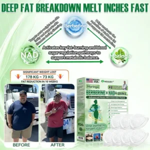 𝐎𝐟𝐟𝐢𝐜𝐢𝐚𝐥 𝐒𝐭𝐨𝐫𝐞 🇺🇸 |NEGUSY™ Moringa .Berberine x NAD+ 10-in-1 Advanced Nano Microneedle Patch - Once Daily, Visible Results in 7Days